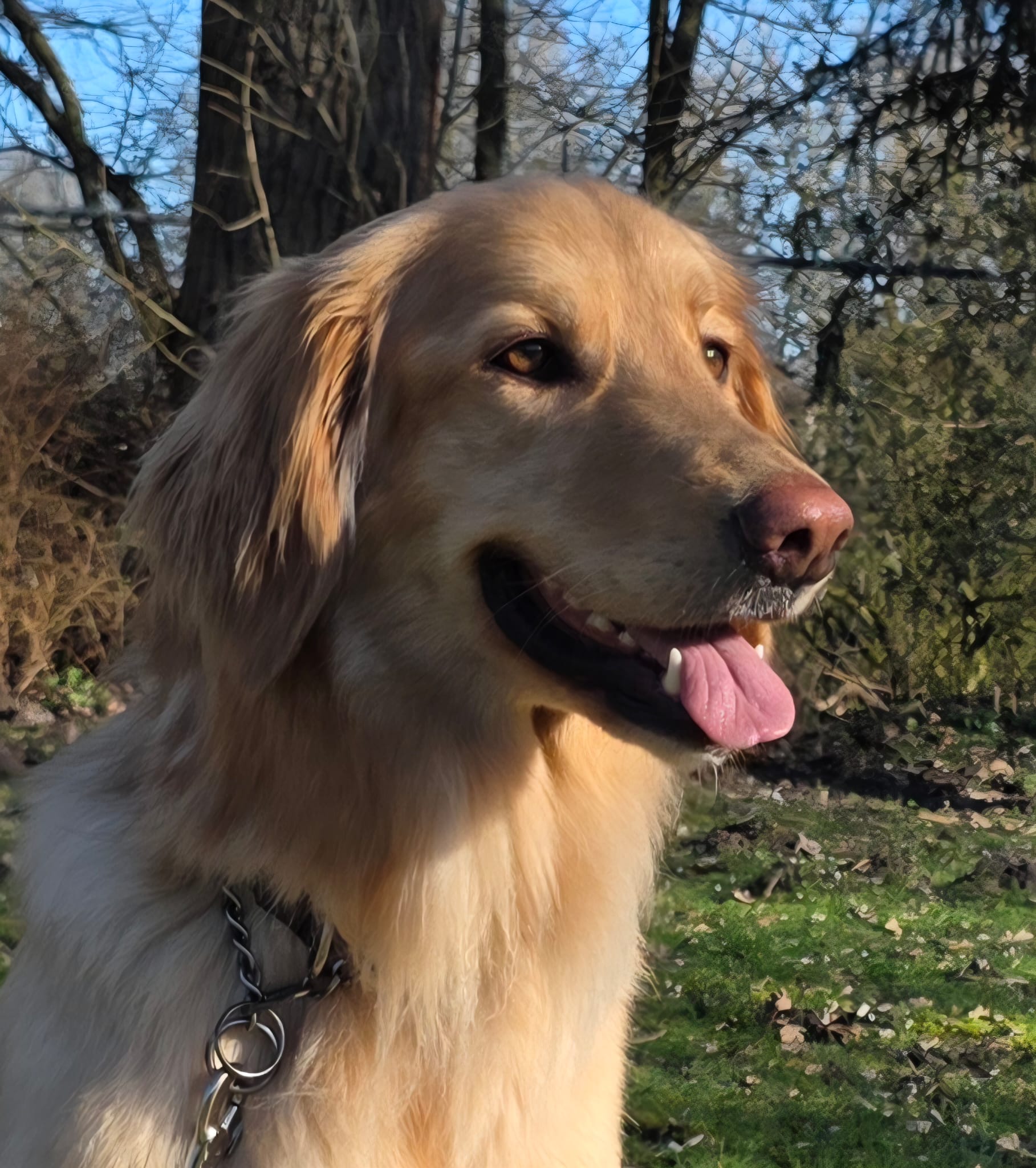 1a561063 b294 480a 8e32 20f51e147eba