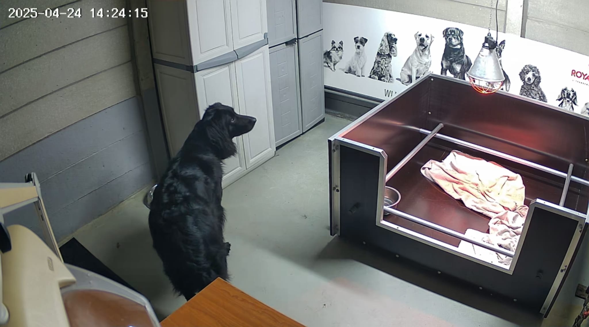 d734a66f 13de 4c95 a8ca 8b000ecebf3a