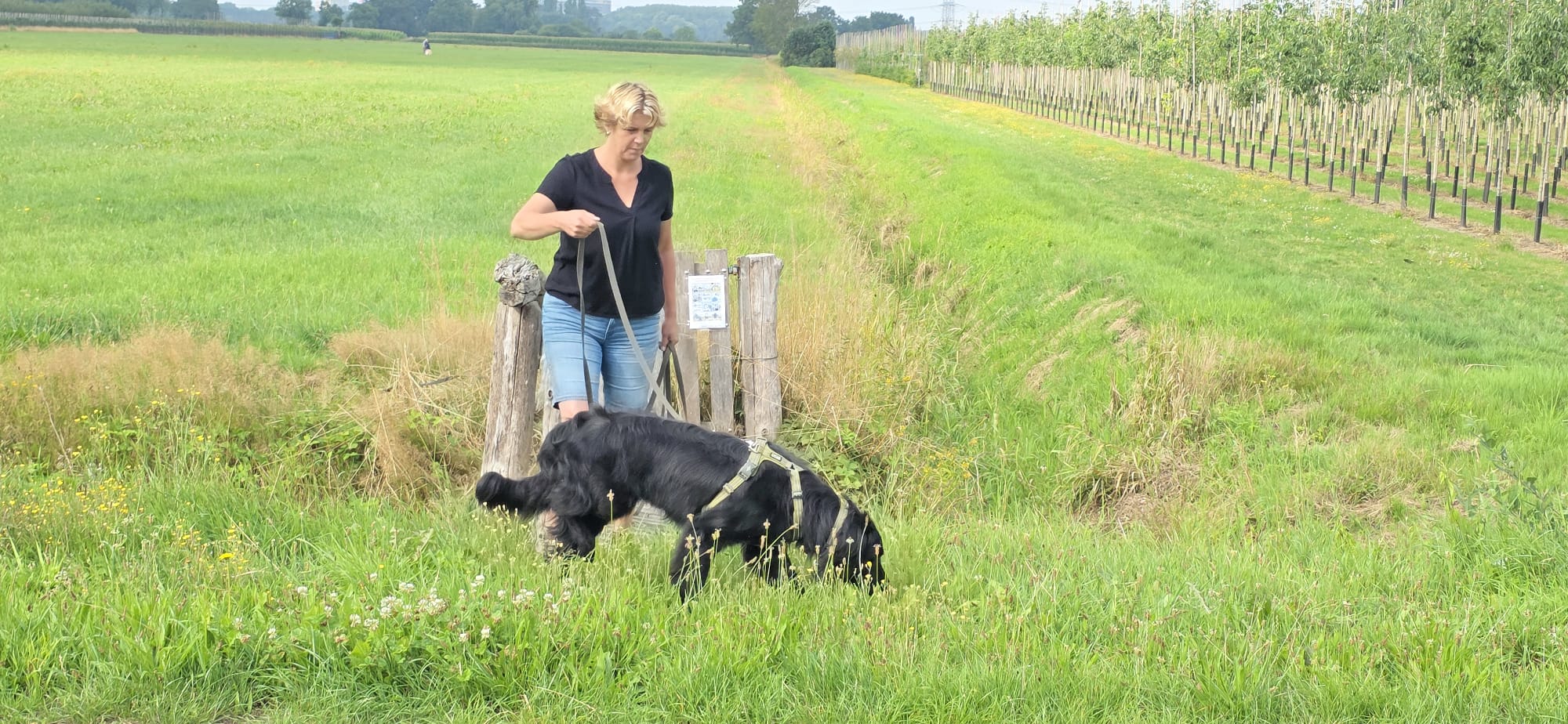 ee0905dd 3ba0 4a6a 860e fcd5c75e0123